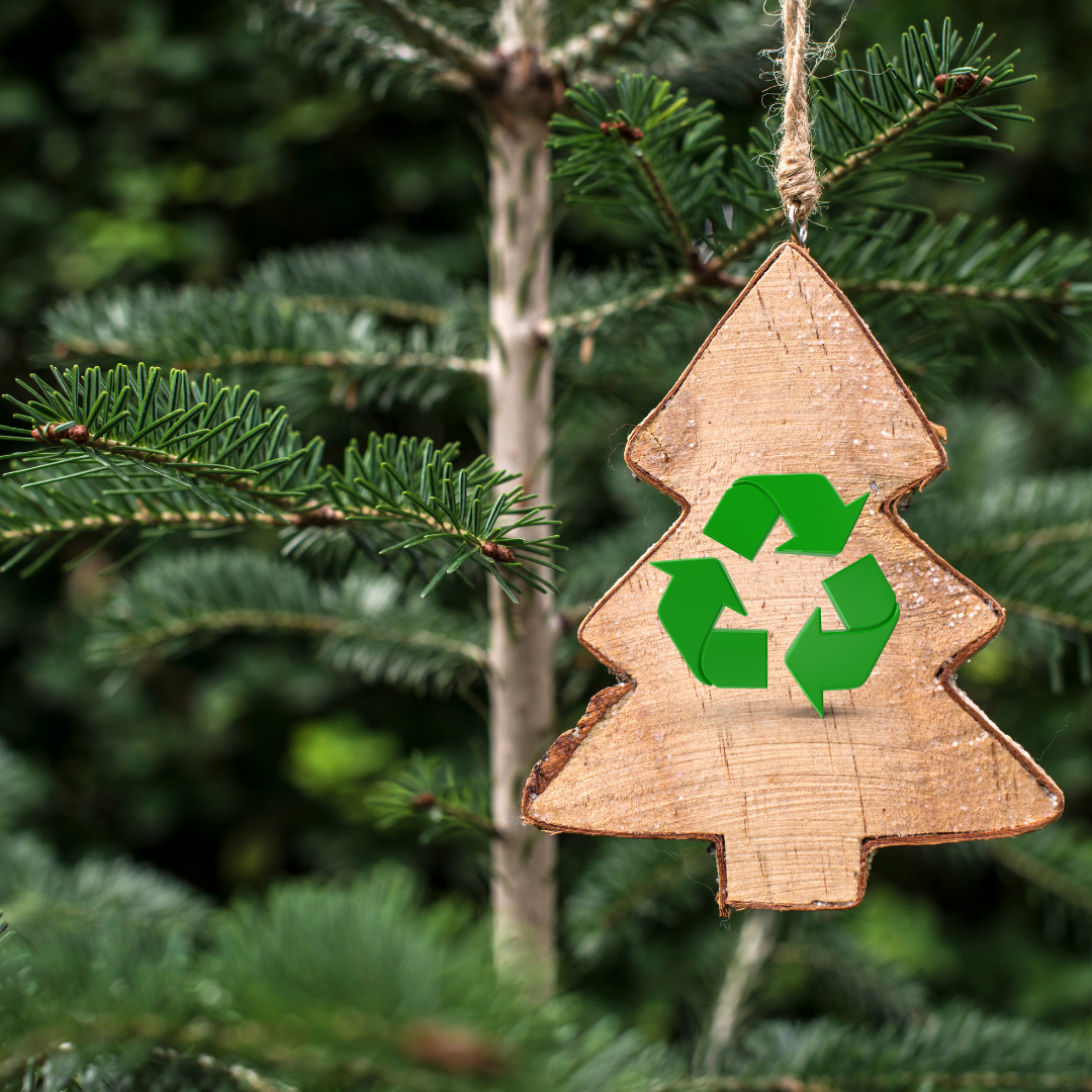 How To Recycle Your Christmas Tree