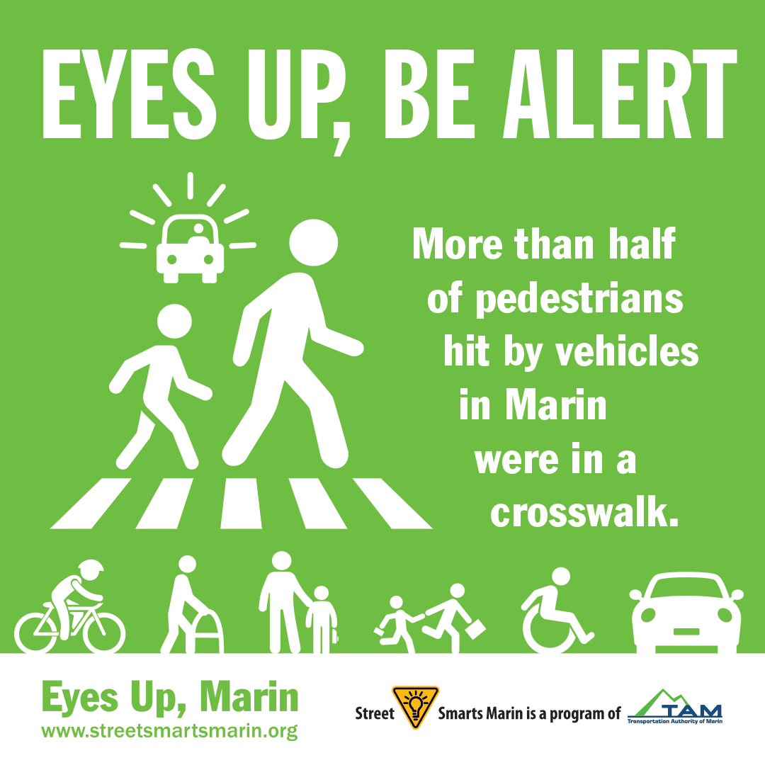 Eyes Up, Be Alert Marin image