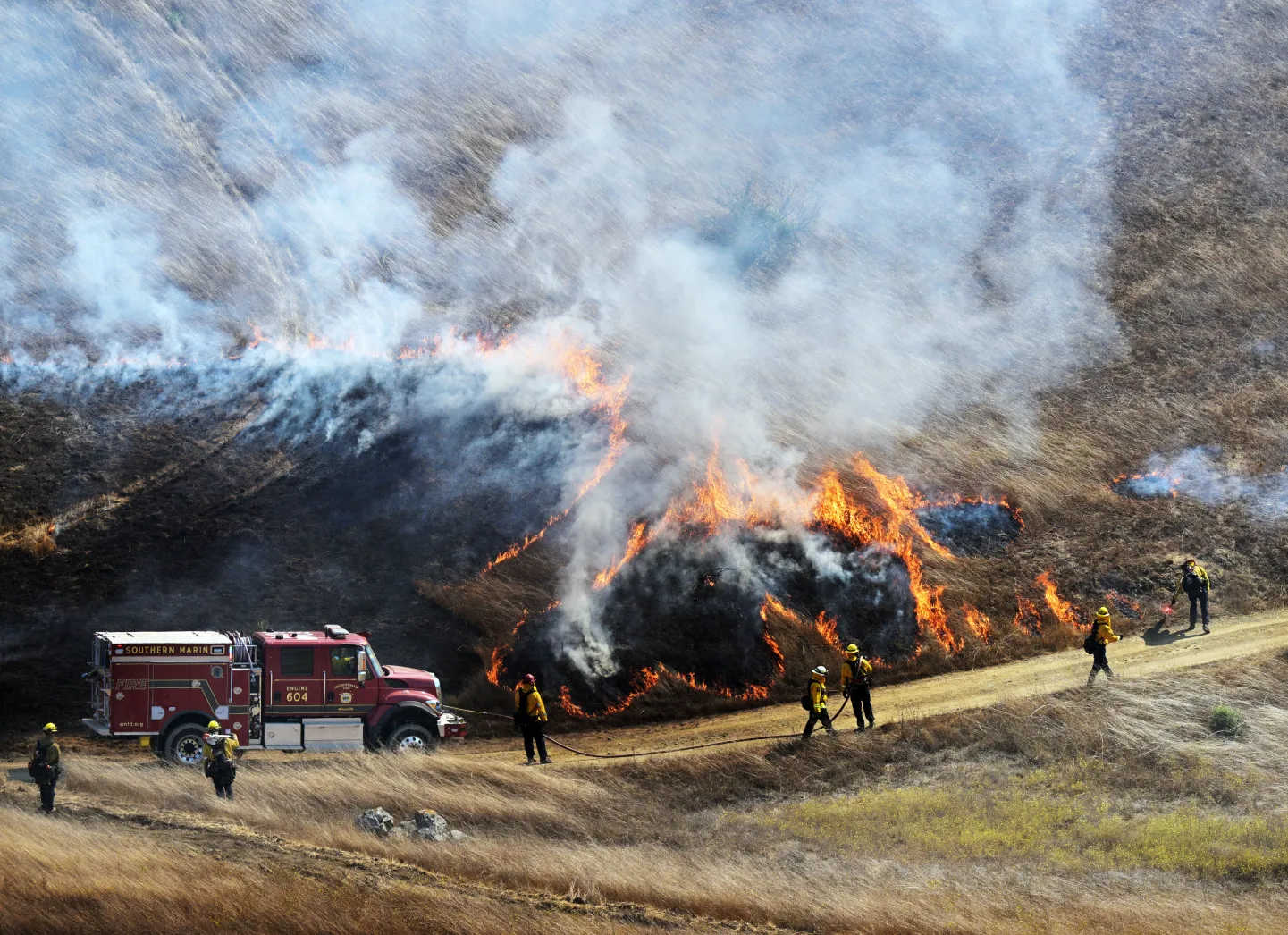 Prescribed Burn - SMFD - Image